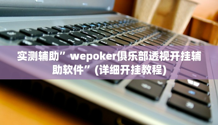 辅助神器“wepokerplus透视挂辅助教程”(详细开挂教程)