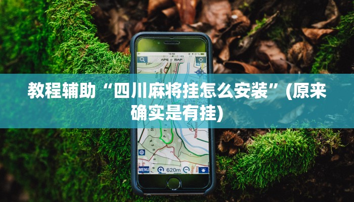 教程辅助“四川麻将挂怎么安装”(原来确实是有挂)