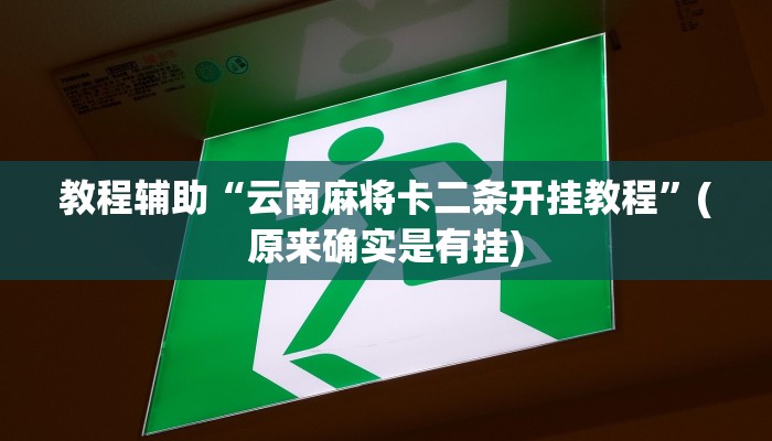教程辅助“云南麻将卡二条开挂教程”(原来确实是有挂)