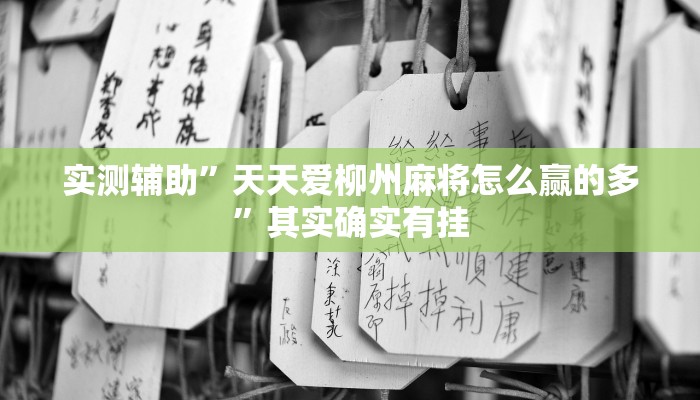 实测辅助”天天爱柳州麻将怎么赢的多”其实确实有挂