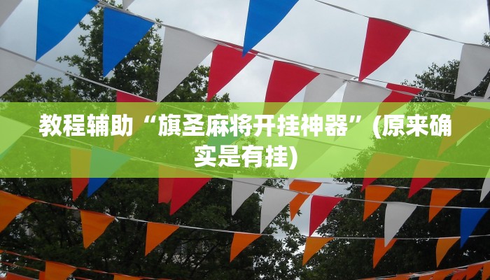 教程辅助“旗圣麻将开挂神器”(原来确实是有挂)