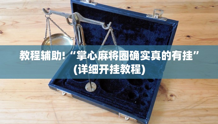教程辅助!“掌心麻将圈确实真的有挂”(详细开挂教程)