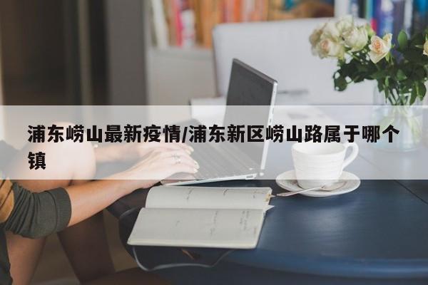 浦东崂山最新疫情/浦东新区崂山路属于哪个镇