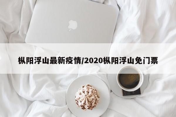 枞阳浮山最新疫情/2020枞阳浮山免门票